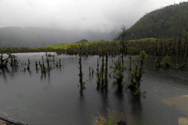 a lake and landscape with water in patagonia clipart