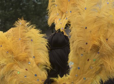 Karnaval, dünyanın dört bir yanındaki birçok ülkede her yıl düzenlenen bir festivaldir.