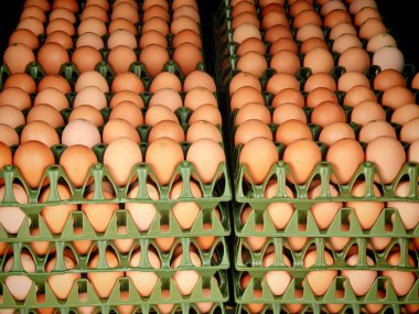 Yumurta pişirmek ve pişirmek için doğal bir üründür.