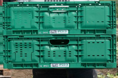 transport logistics for lettuce and salad after harvest on the field clipart