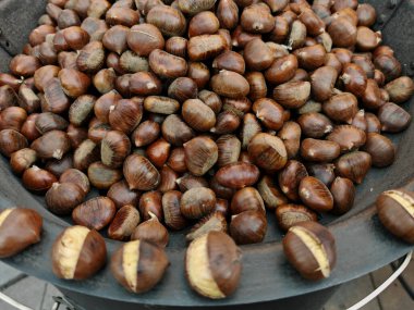 Kestane kestanesi kızartan, kahverengi kabuklu lezzetli, yenilebilir fındıklar.