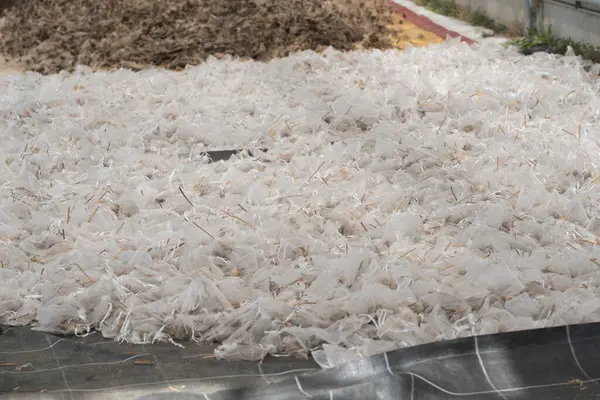 Tohumlar dış kaplamayla korunan embriyonik bitkilerdir.