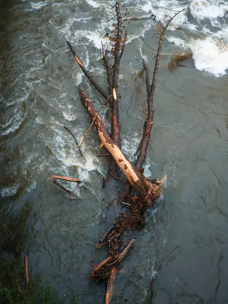 Tarım, ekilebilir tarım ve tarımda sulama ve sulama