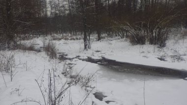 Gölet su toplamak ve hasat etmek için temel bir sistemdir.