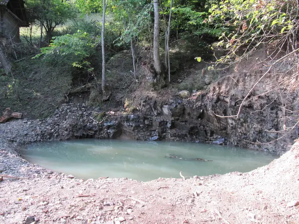 Gölet su toplamak ve hasat etmek için temel bir sistemdir.