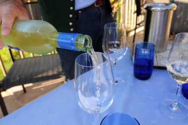 Bir bardak beyaz şarap ve alkollü içecekten zevk alan biri.