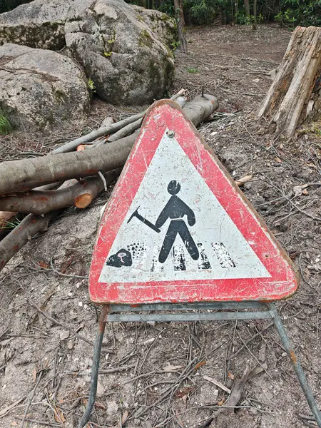 Fırtınadan sonra temizlik işi, ormandaki ağaç hasarı