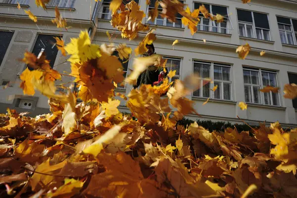 Sonbahar yaprakları bahçede çalışır, sonbaharda yaprak üfler.