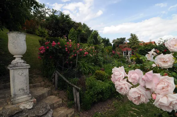 Bahçecilik ve bahçe tasarımı, bitkilerle manzara planlaması.