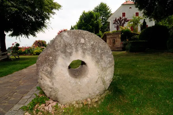 Bahçecilik ve bahçe tasarımı, bitkilerle manzara planlaması.