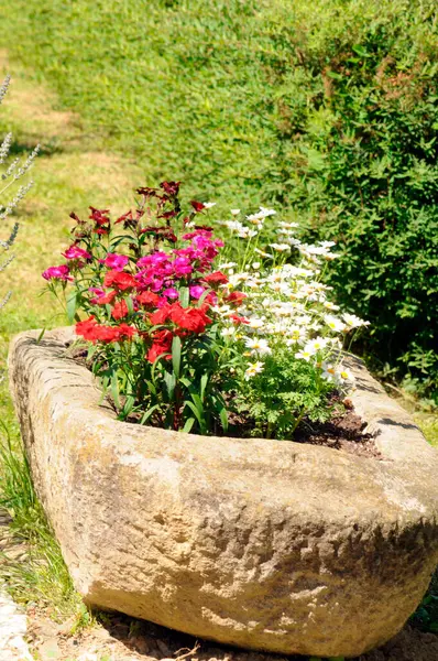 Bahçecilik ve bahçe tasarımı, bitkilerle manzara planlaması.