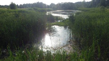 Gölet su toplamak ve hasat etmek için temel bir sistemdir.