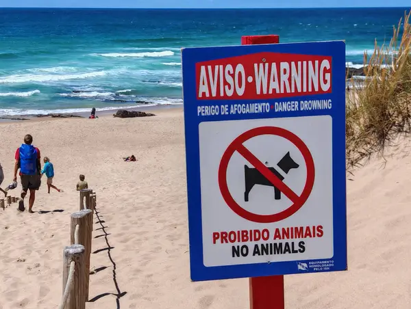 Burada köpekler yasaktır.