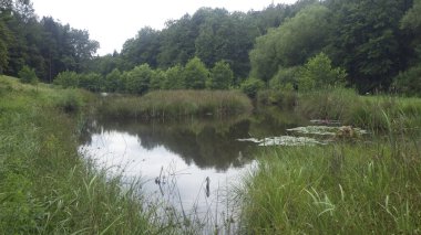 Gölet su toplamak ve hasat etmek için temel bir sistemdir.