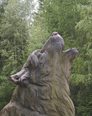 Kurtlar doğada yaşayan vahşi hayvanlardır. 