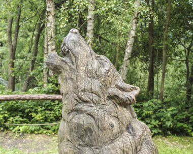 Kurtlar doğada yaşayan vahşi hayvanlardır.