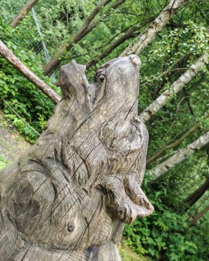 Kurtlar doğada yaşayan vahşi hayvanlardır.