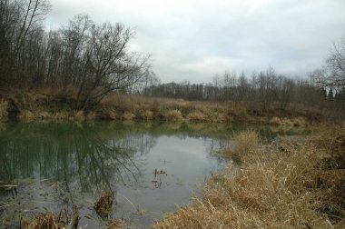 Gölet su toplamak ve hasat etmek için temel bir sistemdir.