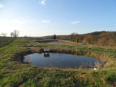 Gölet su toplamak ve hasat etmek için temel bir sistemdir.