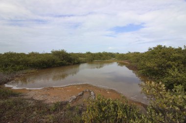 Gölet su toplamak ve hasat etmek için temel bir sistemdir.