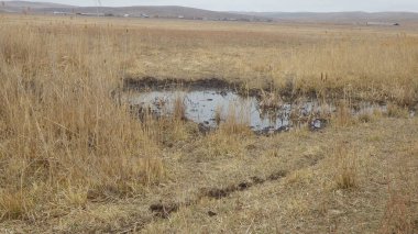 Gölet su toplamak ve hasat etmek için temel bir sistemdir.