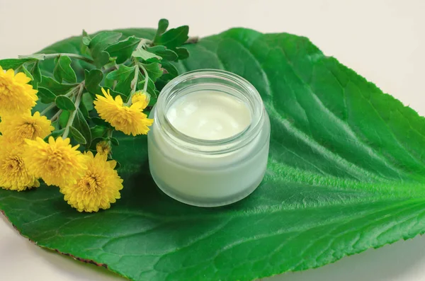 An open jar of moisturizing cream for hands, face, body on a large green leaf. Beauty skin care product template