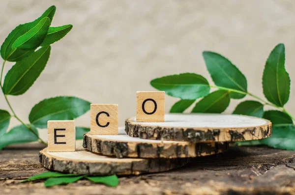 Word Eco Auf Holzgrund Das Wort Eco Auf Holzwürfeln Auf — Stockfoto
