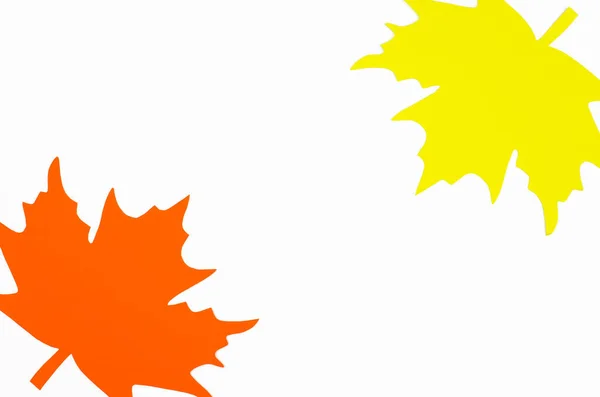 Rotes Und Gelbes Herbstblatt Auf Weißem Hintergrund Platz Für Text — Stockfoto