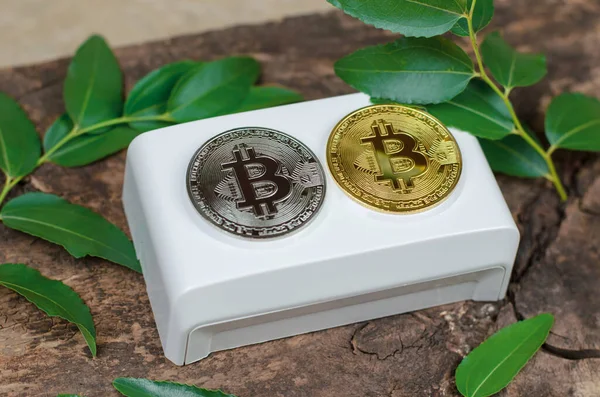 Bitcoin Lies Electrical Outlet Background Green Leaves Cryptocurrency Green Energy Stockfoto