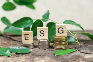 Ahşap küplerde ESG kısaltması, yeşil yapraklarla çerçevelenmiş altın ve gümüş sikkelerde. Çevresel sosyal yönetim. Çevre koruma kavramı.