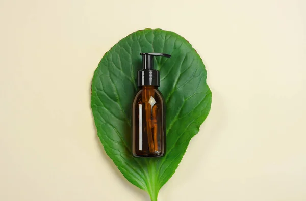 A brown cosmetic bottle with a pump on a large green leaf. Beauty skin care product template