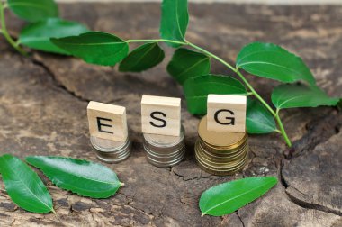 Environmental social management. ESG abbreviation on wooden cubes, on gold and silver coins framed by green leaves. The concept of environmental conservation