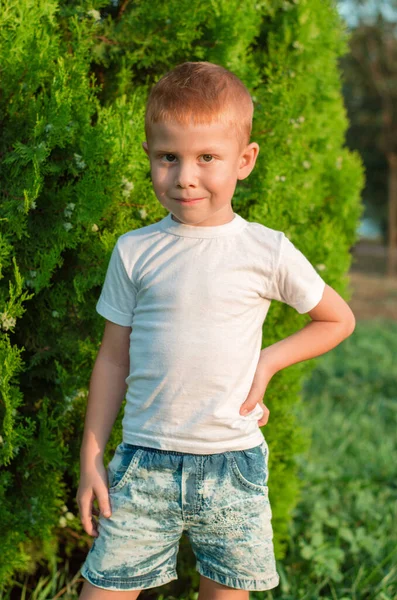 A five-year-old red-haired boy in a white T-shirt. 5 year old child in the park