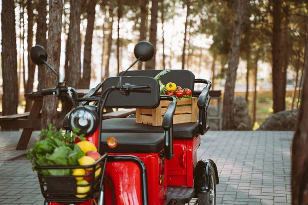 Red electric tricycle tuk tuk loaded with crates of vegetables and fruits parked in pine forrest. Farmland ranch electric vehicle delivered groceries to camp area