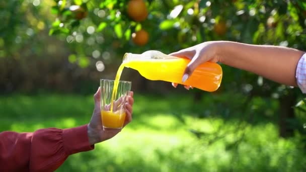 Madres Mano Femenina Vierte Limonada Zumo Cítricos Naranja Orgánica Fresca — Vídeo de stock