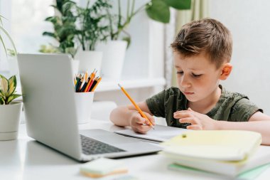 Gülümseyen okul çocuğu evde dizüstü bilgisayarla ders çalışıyor ve ödev yapıyor. Kafkas çocuk elinde defter, kalem ve eğitim kitaplarıyla oturuyor. Okula dönelim. Uzaklık öğrenimi çevrimiçi eğitim. 