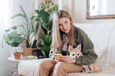 Cep telefonu ve köpeği olan bağımsız bir kadın ve ev ofisinden çalışıyor. Oturma odasında çiçekli koltukta oturan mutlu kız. Uzaklık öğrenimi ve çevrimiçi eğitim.