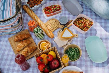 Orman kamp alanında sebze, meyve suyu, peynir ve kruvasanla piknik. Ekmek baget ve salatalarla çevrili taze organik sebzeler..