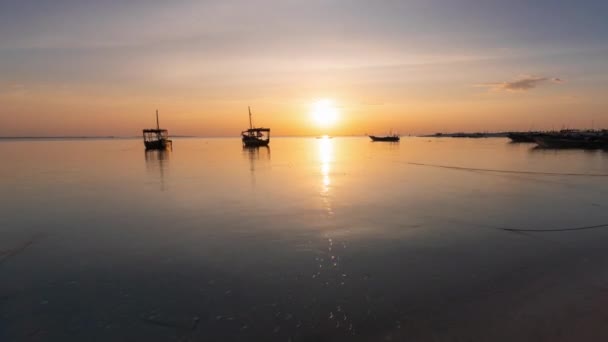 Gün Batımında Dhow Tekneleri Tanzana Zanzibar Fps Zaman Atlaması — Stok video
