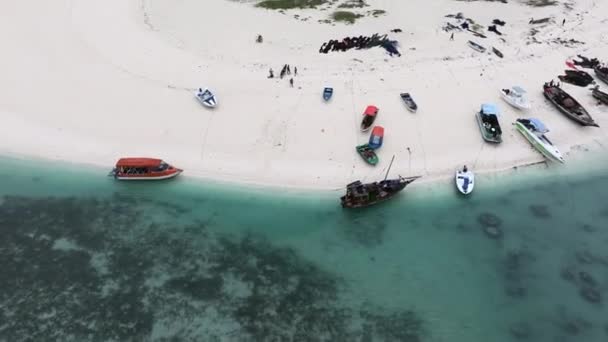 Панорама Піщаного Пляжу Занзібар Туристи Місцеві Жителі Проводять Чудові Дні — стокове відео