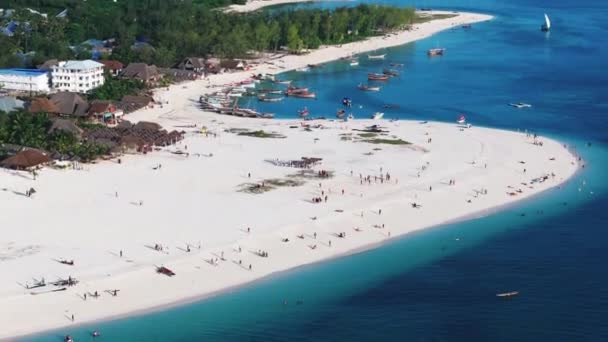 Underbar Antenn Skott Strandlinje Och Blå Havet Zanzibar Solig Dag — Stockvideo