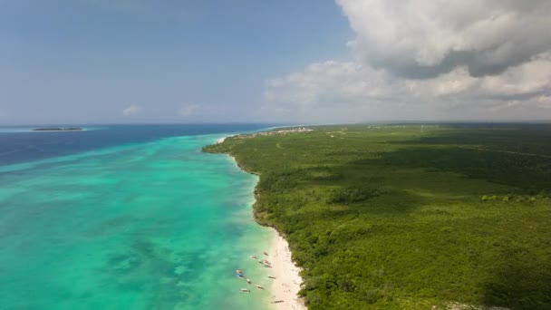 Underbar Antenn Utsikt Över Stranden Och Turkosa Havet Zanzibar Solig — Stockvideo