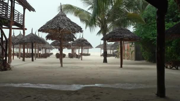 Åska Stranden Zanzibar Strand Paraplyer Förgrunden Havet Bakgrunden — Stockvideo