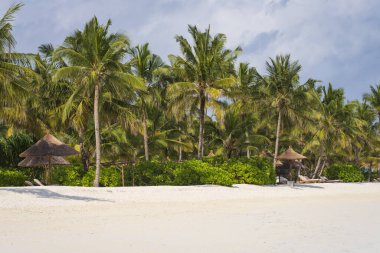 Ahşap plaj şemsiyeleri ve plaj salonları. Lüks sahil tesislerinde lüks plaj şezlongları ve şemsiye. Yaz kumsalı konsepti, tasasız, deniz kenarında dinlenme, sahilde kimse yok..