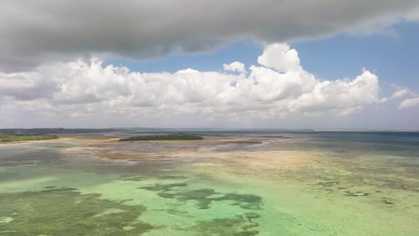 Panorama Maravillosa Playa Zanzíbar Concepto Verano Vacaciones Sin Preocupaciones África — Vídeos de Stock