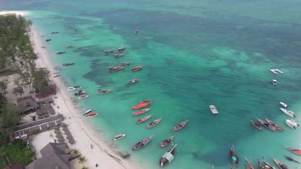 Vista Aérea Dos Barcos Pesca Costa Marítima Tropical Com Praia — Vídeo de Stock