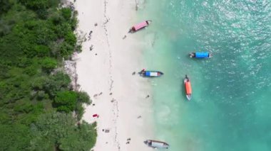 Plaj manzaralı kuşlar ve kumlu tropikal deniz kıyısında açık yeşil su. Zanzibar, Nemba plajı, Afrika, Tanzanya 'da yaz gezisi..