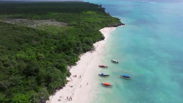 Plaj Manzarası Kumlu Tropikal Deniz Kıyısında Açık Yeşil Zanzibar Nemba — Stok video
