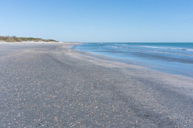 Açık gökyüzü ve fırtınanın getirdiği deniz kabukları ile deniz sakin ve mavidir, Lido Adriano, Ravenna.
