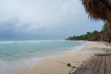 Dominik Cumhuriyeti Bayahibe plajı, bulutlu bir günde harika dalgalar, kumlu plajlı ve palmiyeli berrak deniz..